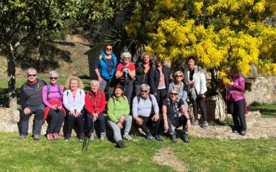 Sortida setmanal de senderisme 22/02/22