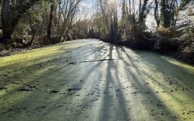 Senderisme: Resclosa de la Capçana i Poblat Ibèric de Puig del Castell – 18/11/25