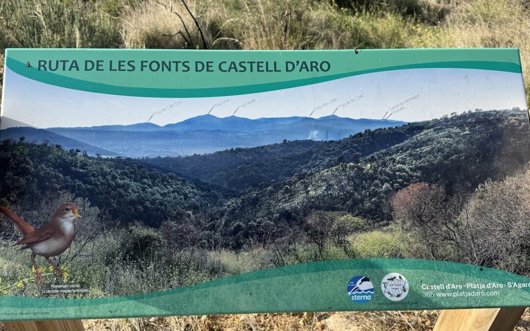Marxa nòrdica: Ruta de Les Fonts de Castell d’Aro – 09/01/26