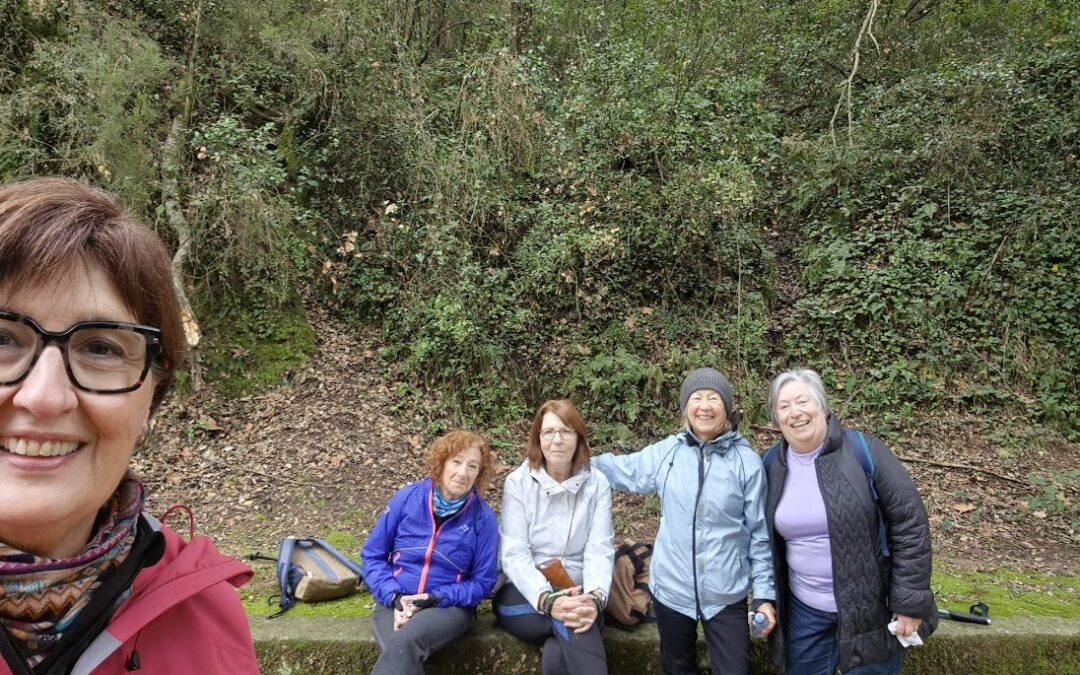 Marxa nòrdica: La Font Picant – 13/02/26