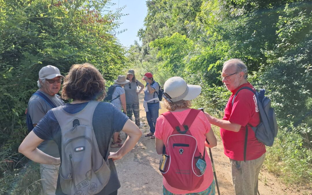 Senderisme: passejant pel Ridaura – 09/06/26